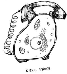 198db61d604ba9624cc5ba87b212e71a