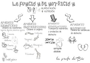 función de nutrición