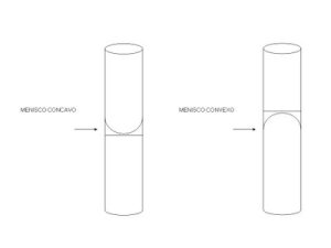 menisco1