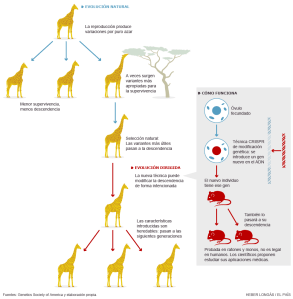 1426943029_081654_1426959857_noticia_normal