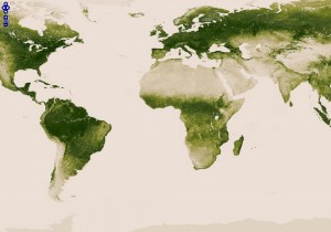 green-vegetation-map_521285f36a1ae_w1500
